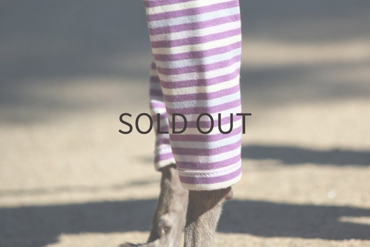 画像4: トーンボーダー（パープル) (4)