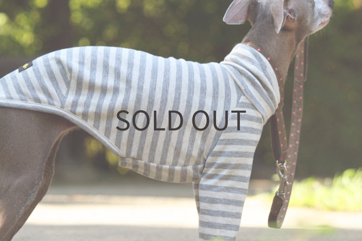 画像4: シンプルボーダー（グレー×ベージュ) (4)