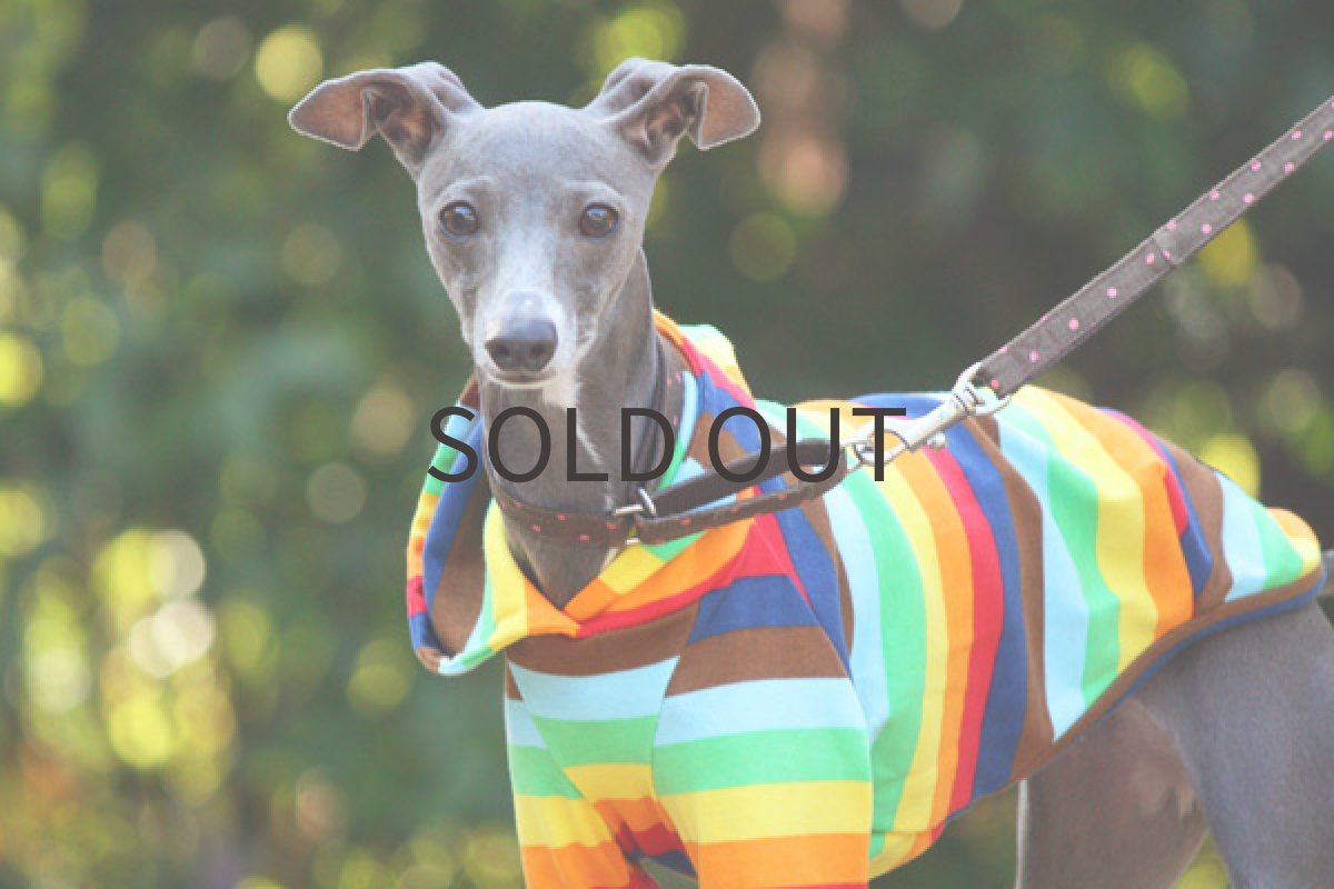 画像2: 虹ボーダー（ネイビー） (2)