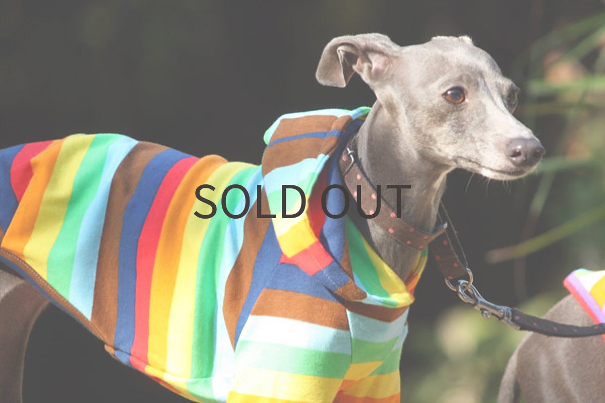 画像4: 虹ボーダー（ネイビー） (4)