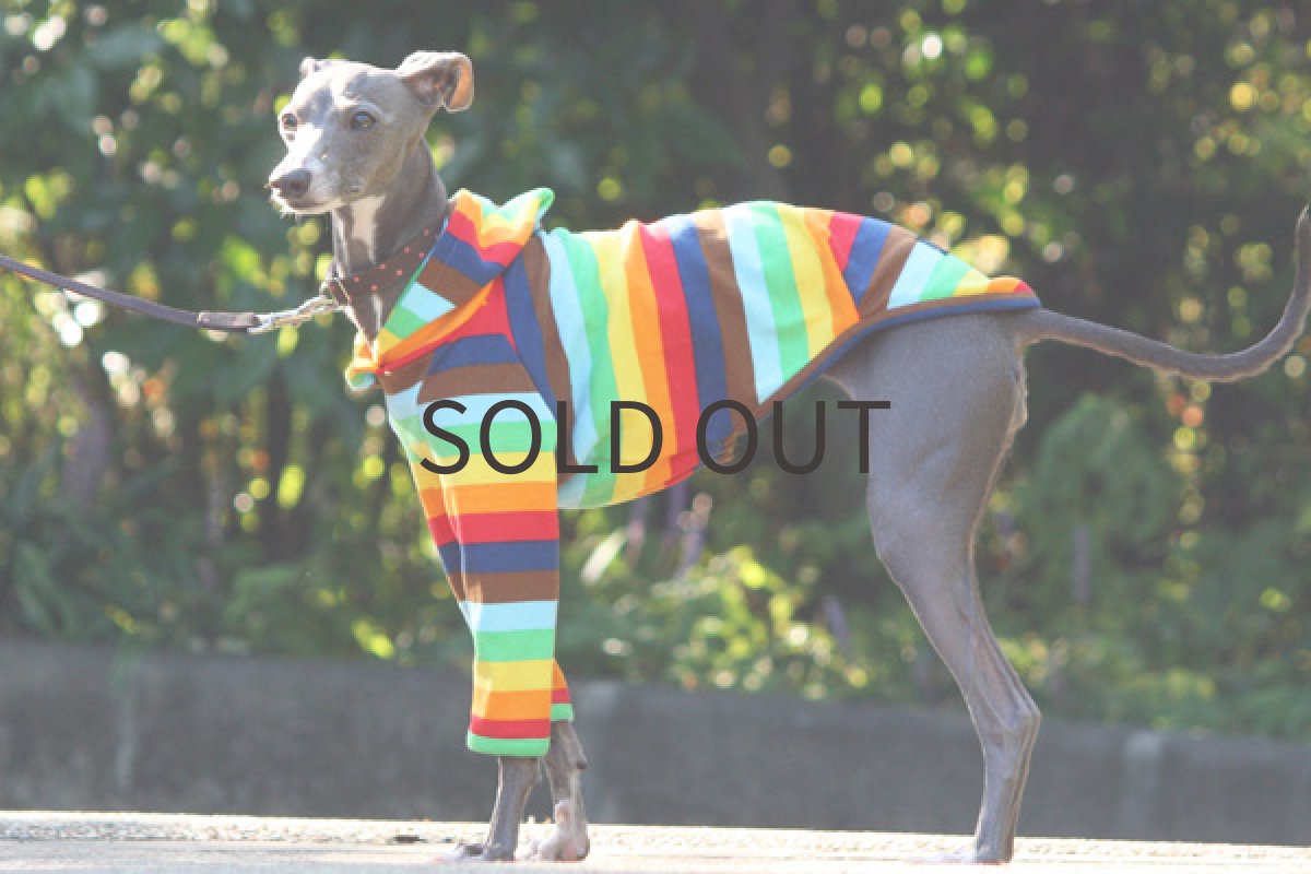 画像5: 虹ボーダー（ネイビー） (5)