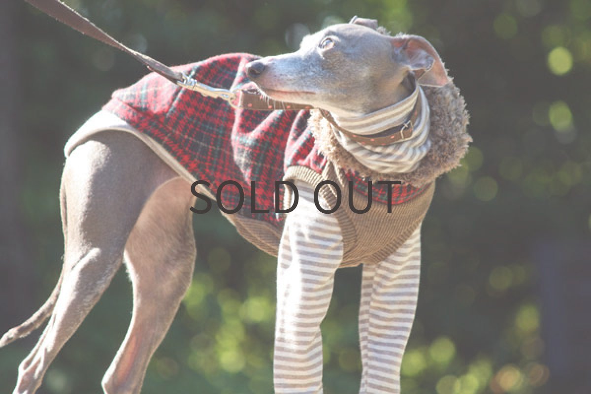 画像2: ハイネックフードのベスト (2)