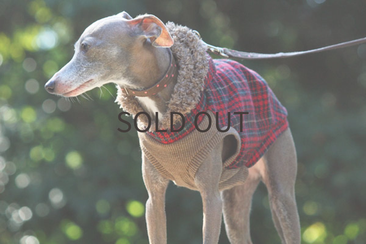 画像4: ハイネックフードのベスト (4)