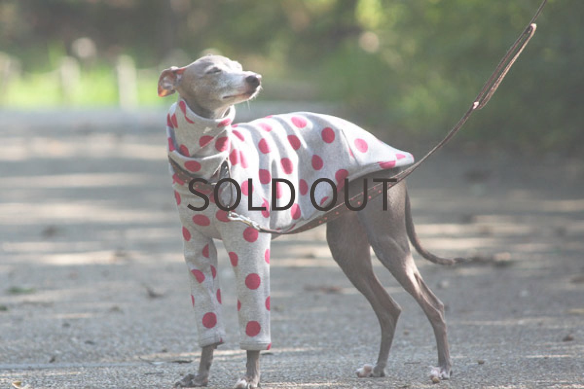 画像2: パープルドット (2)