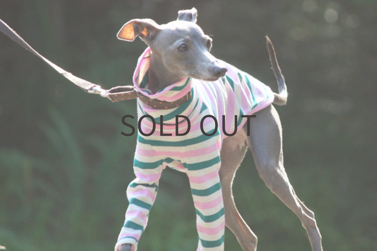 画像3: ピーチグリーンボーダー (3)