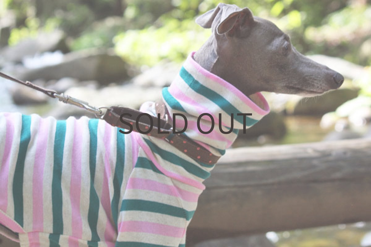 画像4: ピーチグリーンボーダー (4)