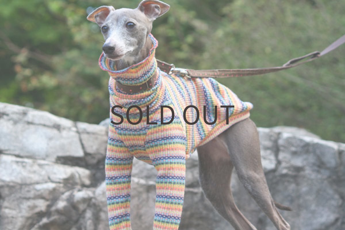 画像3: くしゅくしゅトレッキング（ピンク） (3)