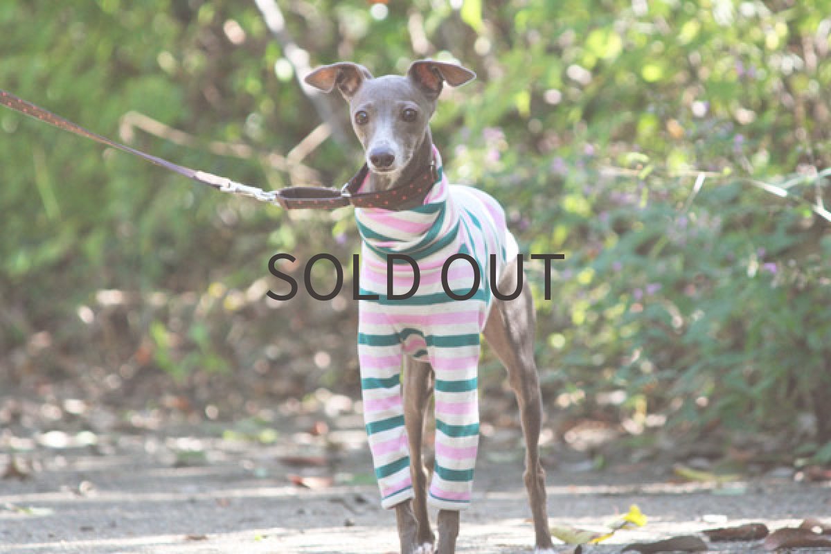 画像2: ピーチグリーンボーダー (2)