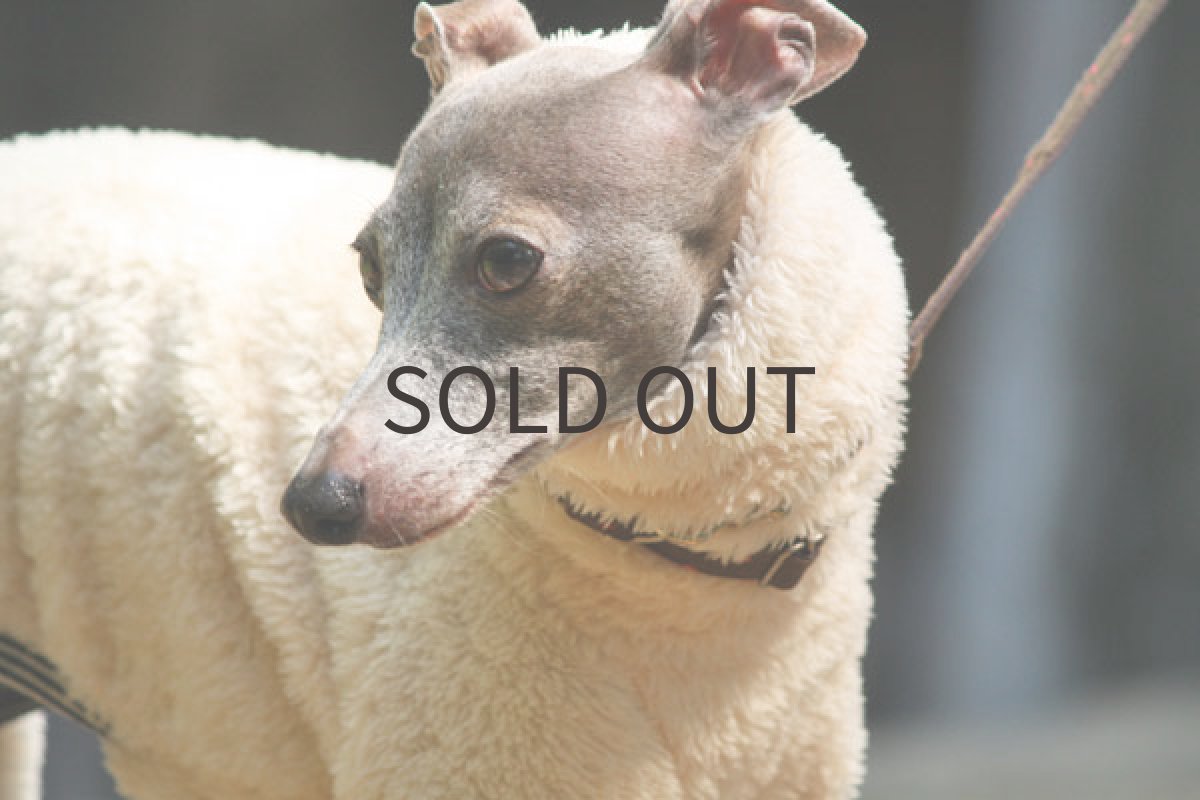 画像2: EXTRA HEAT(ミルクティー) (2)