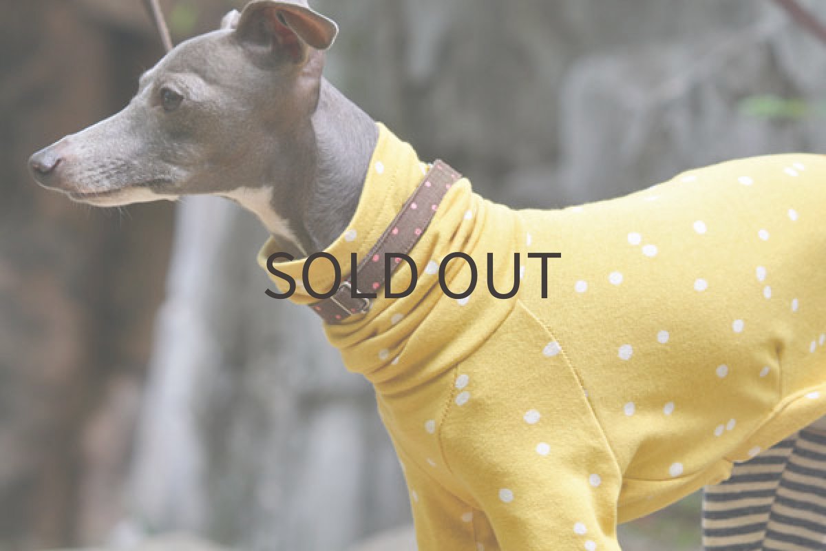 画像4: ランダムドットの重ね着風(マスタード) (4)