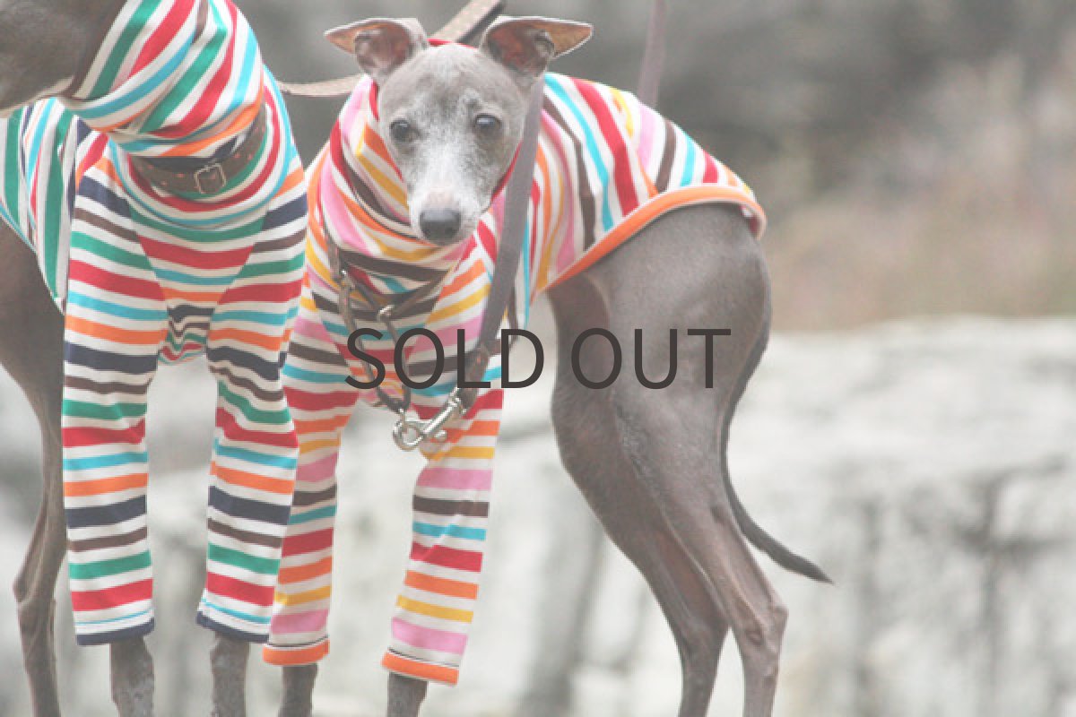 画像4: マルチポップボーダー（ピンク） (4)