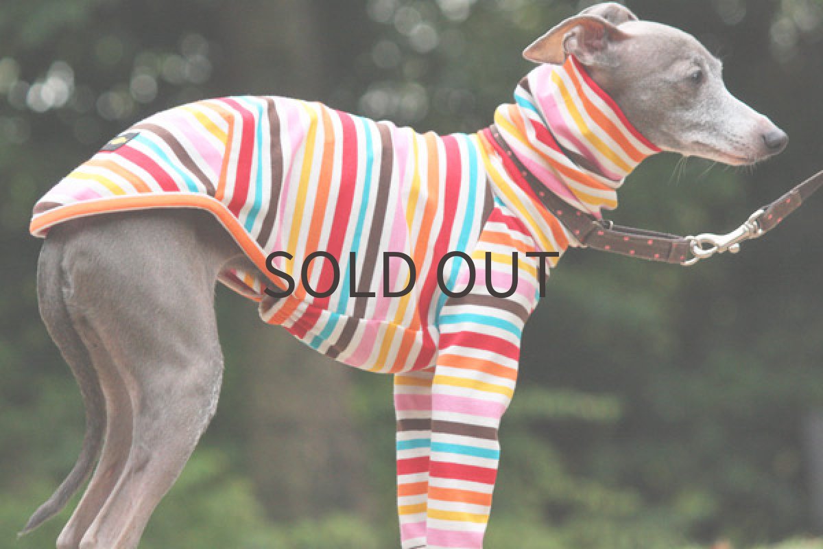 画像5: マルチポップボーダー（ピンク） (5)