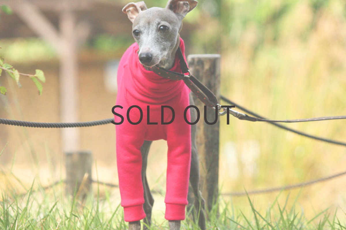 画像3: フィットトレーナー（ビビットピンク） (3)