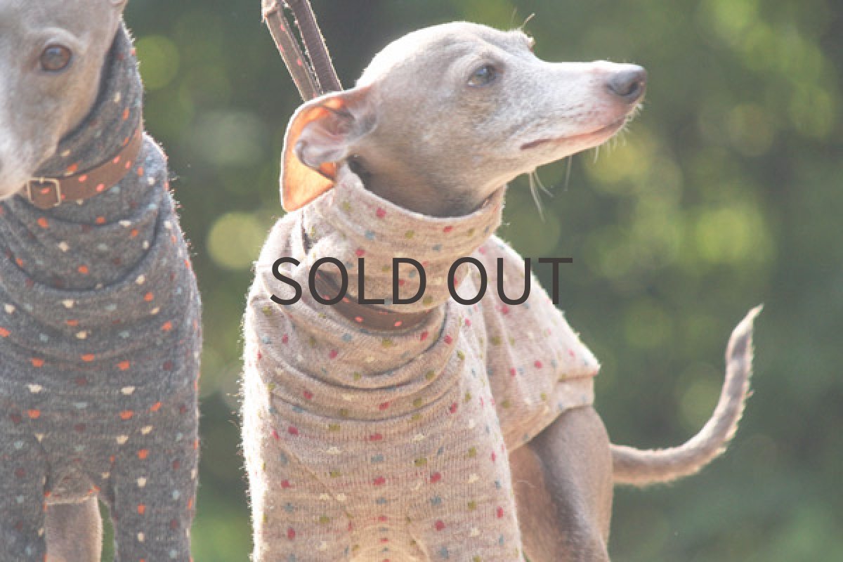 画像2: ブロックドットのジャガードニット(ベージュ) (2)