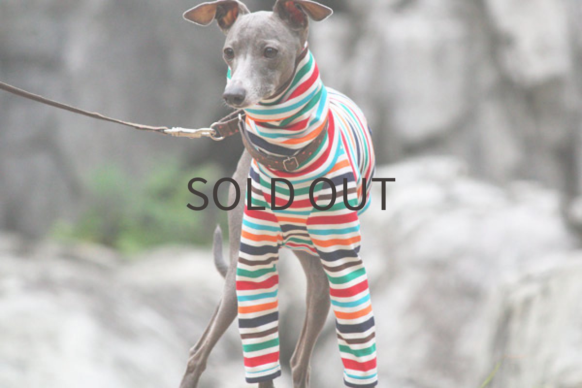 画像3: マルチポップボーダー（ネイビー） (3)