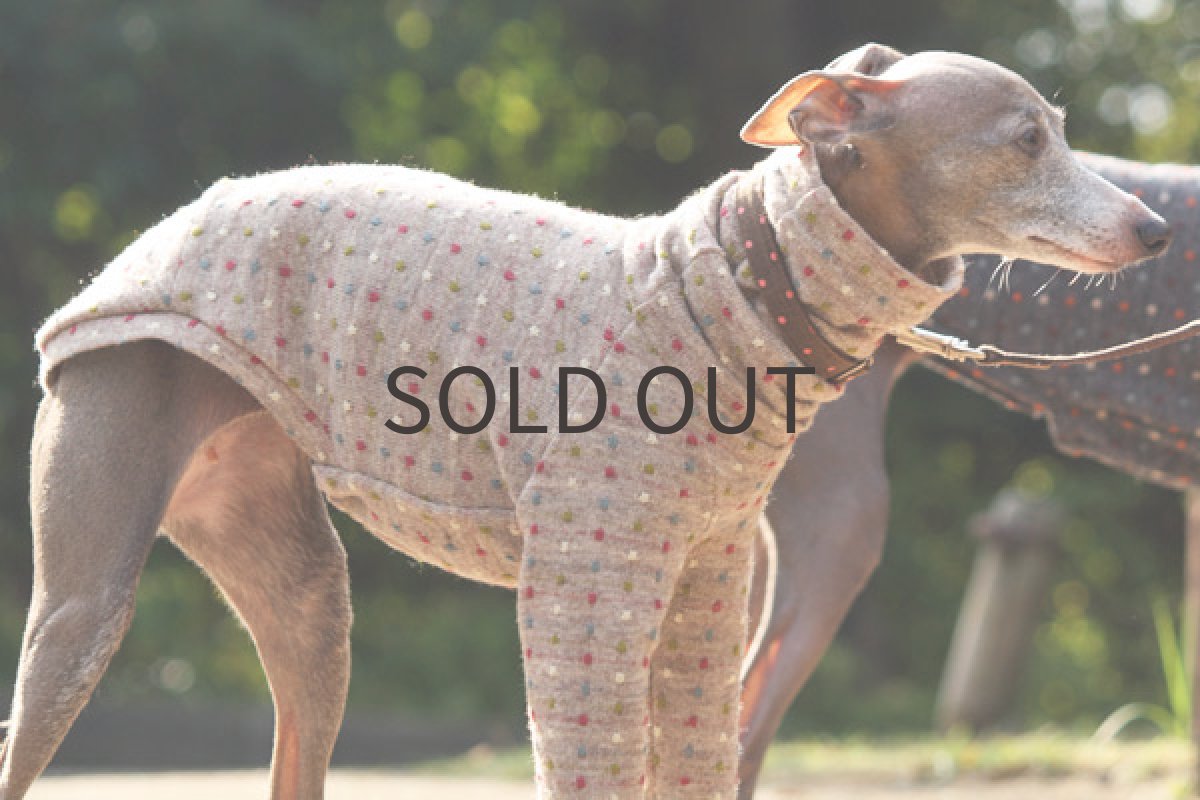 画像3: ブロックドットのジャガードニット(ベージュ) (3)