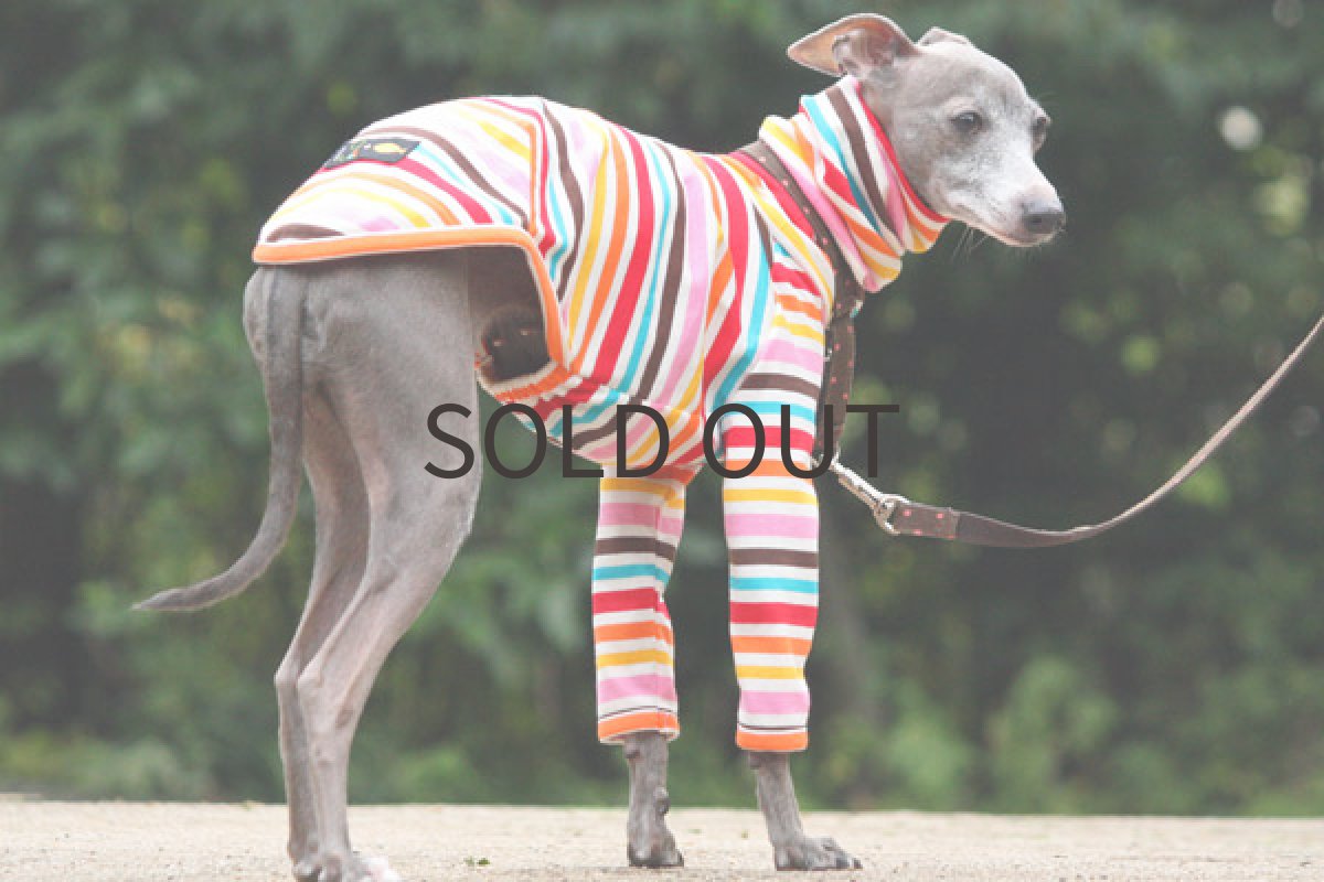 画像3: マルチポップボーダー（ピンク） (3)