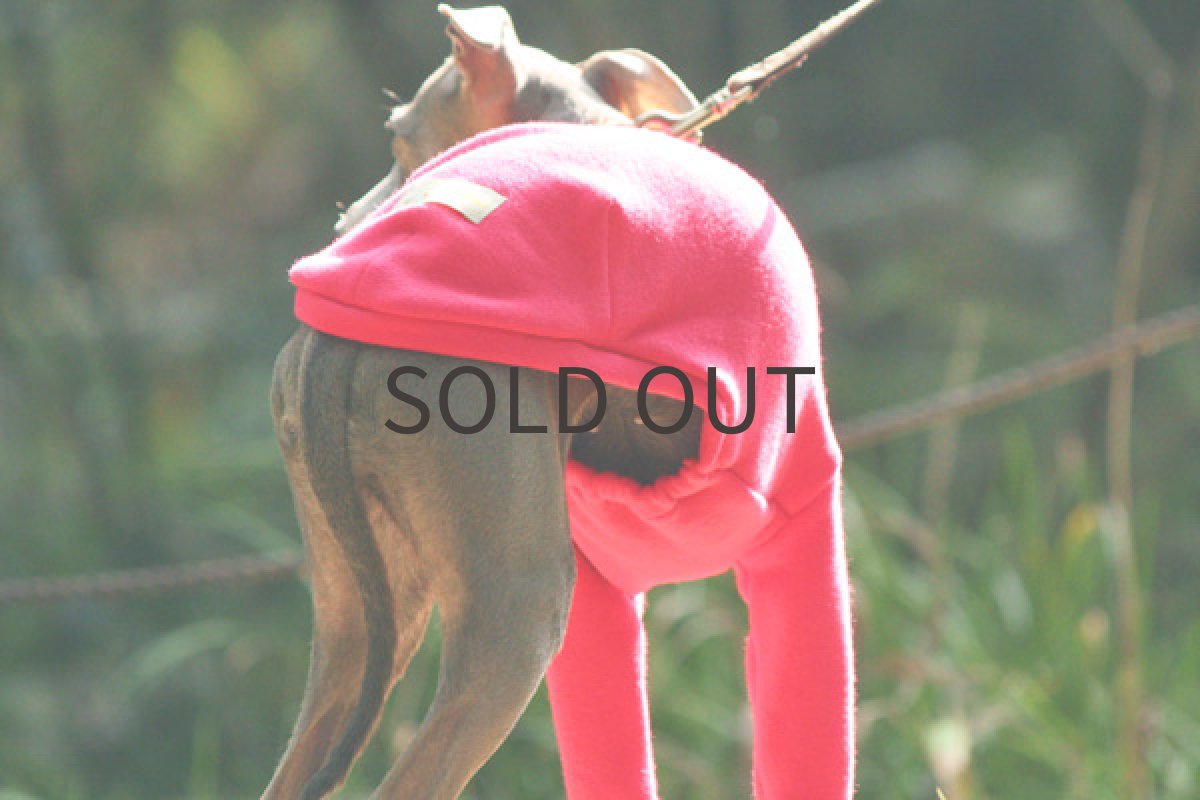 画像5: フィットトレーナー（ビビットピンク） (5)