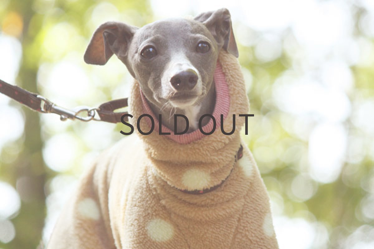 画像3: 両面ふわふわドット(カフェオレ) (3)