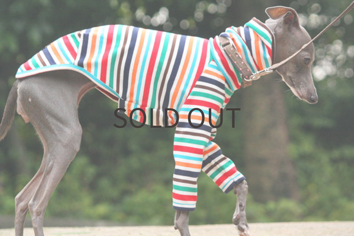 画像5: マルチポップボーダー（ネイビー） (5)