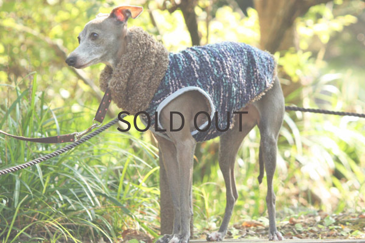 画像5: 裏全面ファーのダブルベスト（ブルー） (5)