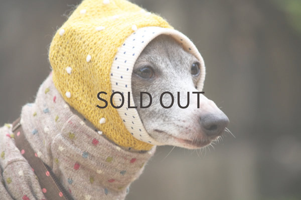 画像2: からしの雫スヌード（ピンドットリブ） (2)