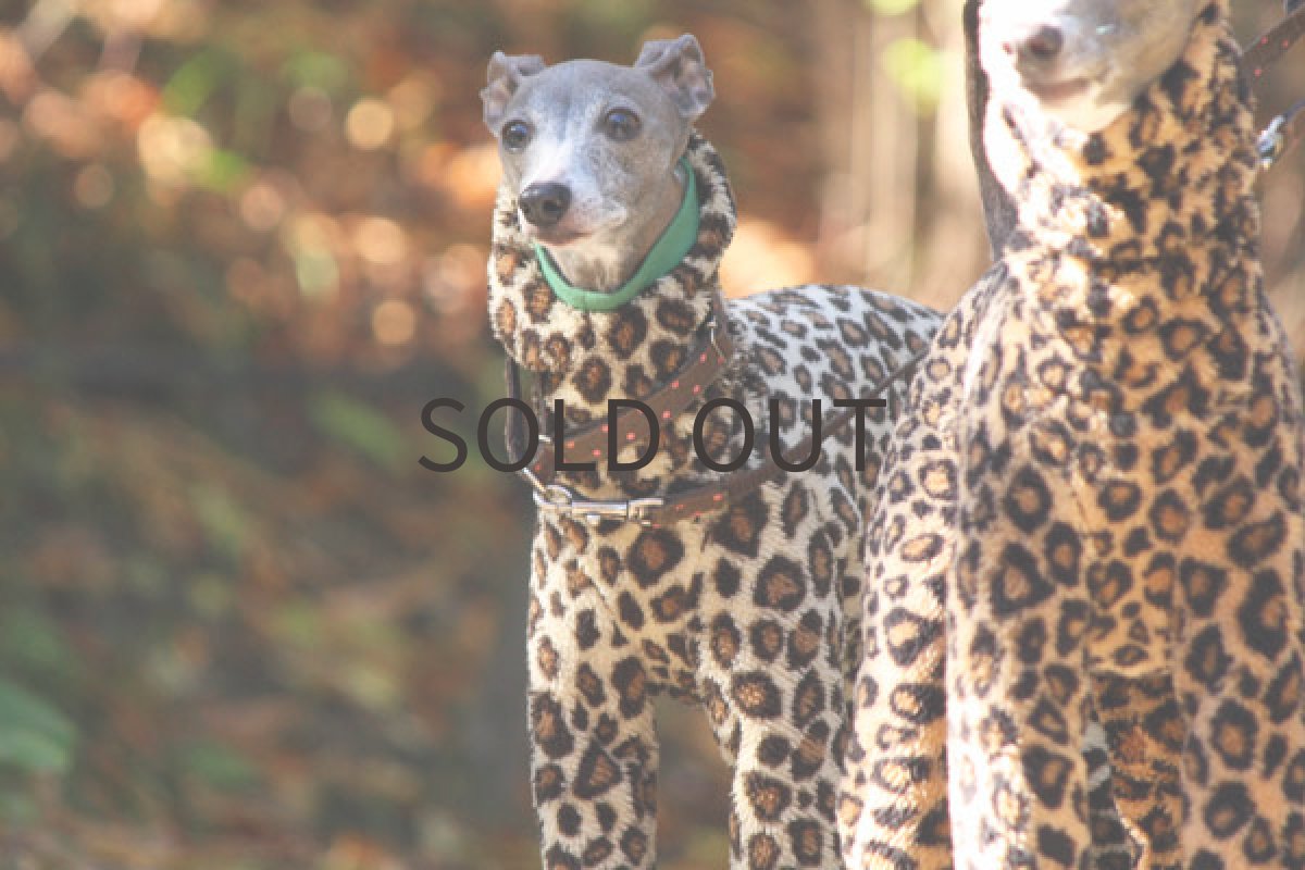 画像2: アニマル両面フワボア（クリーム） (2)