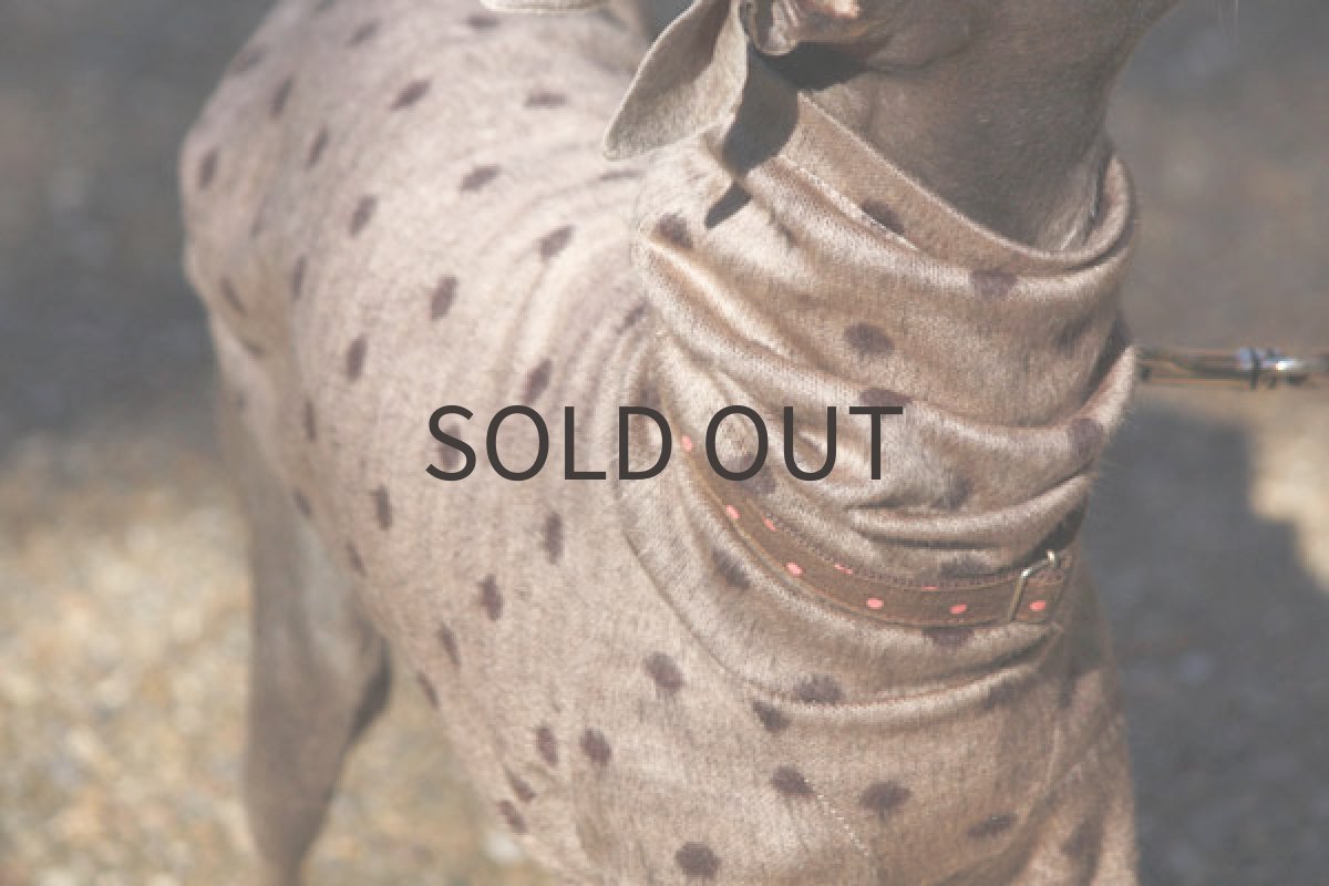 画像3: シャギードット（モカ） (3)