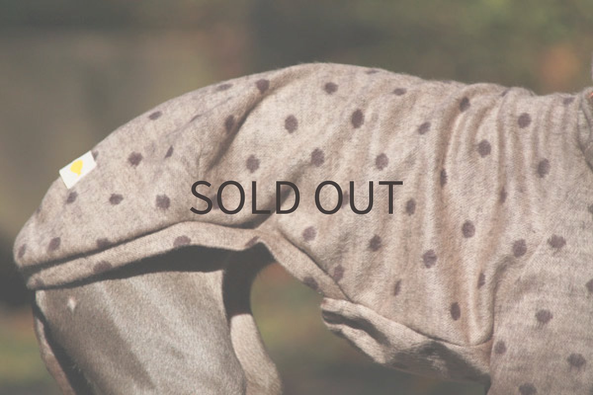 画像5: シャギードット（モカ） (5)