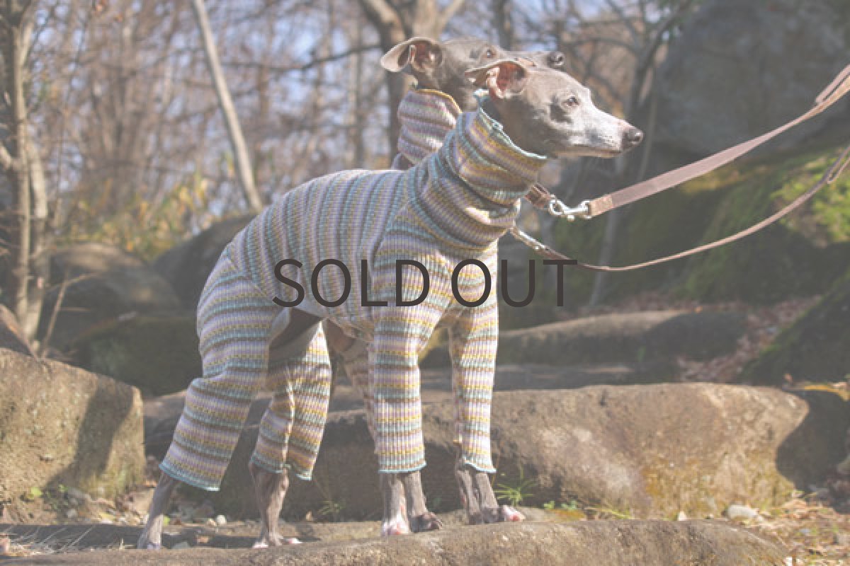 画像2: トレッキングロンパース（ミルフィーユ） (2)