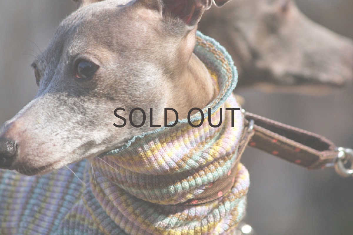 画像3: トレッキングロンパース（ミルフィーユ） (3)