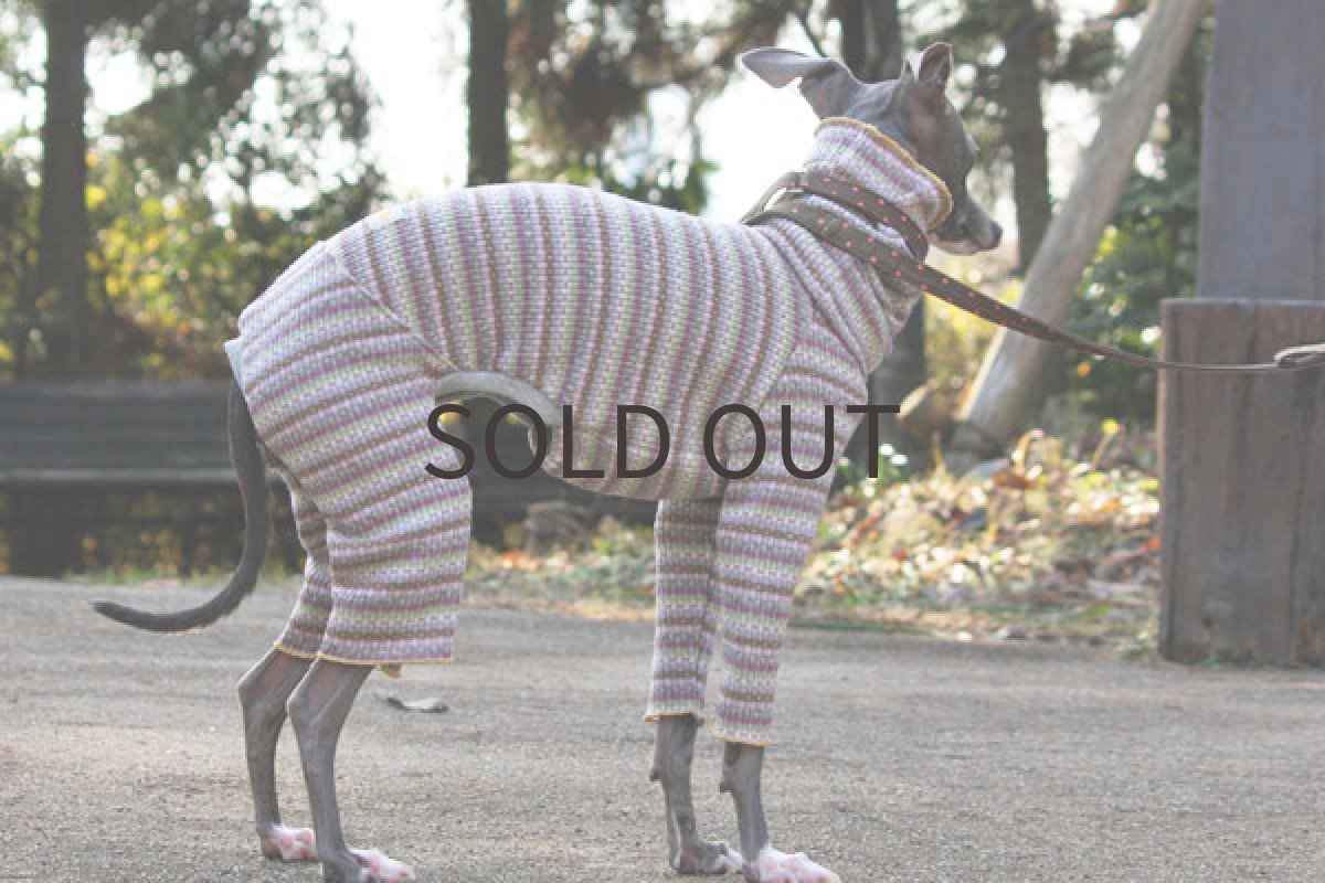 画像4: トレッキングロンパース（ラベンダー） (4)