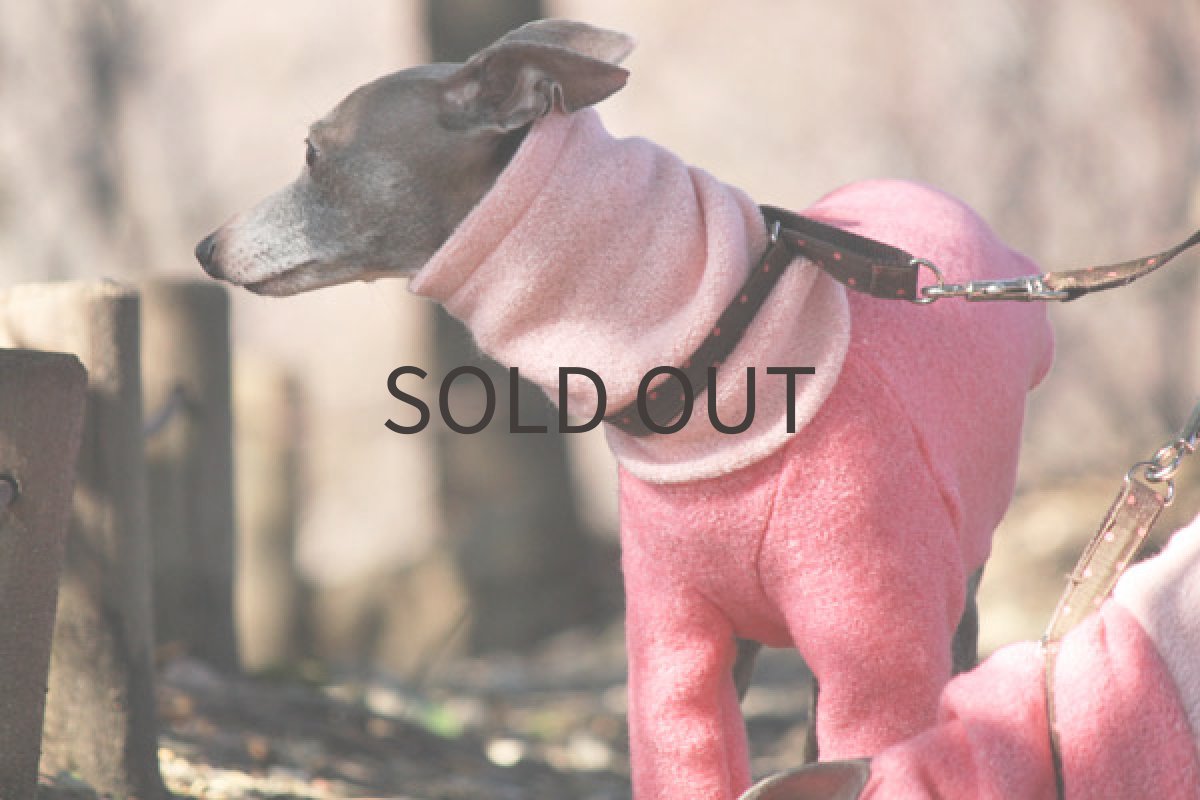 画像2: フラミンゴトレーナー（ボディ:ローズレッド） (2)