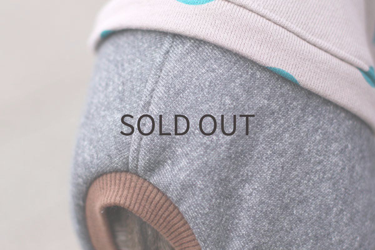 画像4: スプリングドット（トルコブルー） (4)