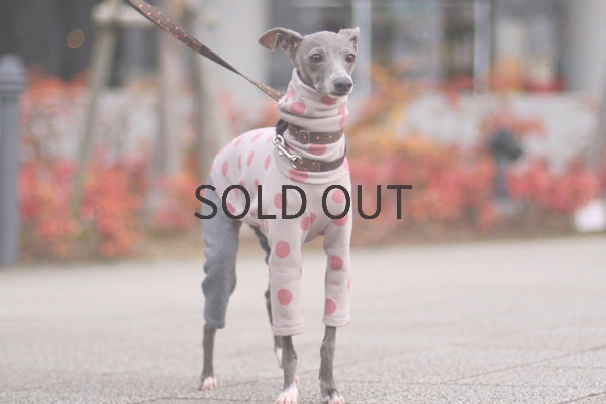 画像3: スプリングドット（さくらんぼ） (3)