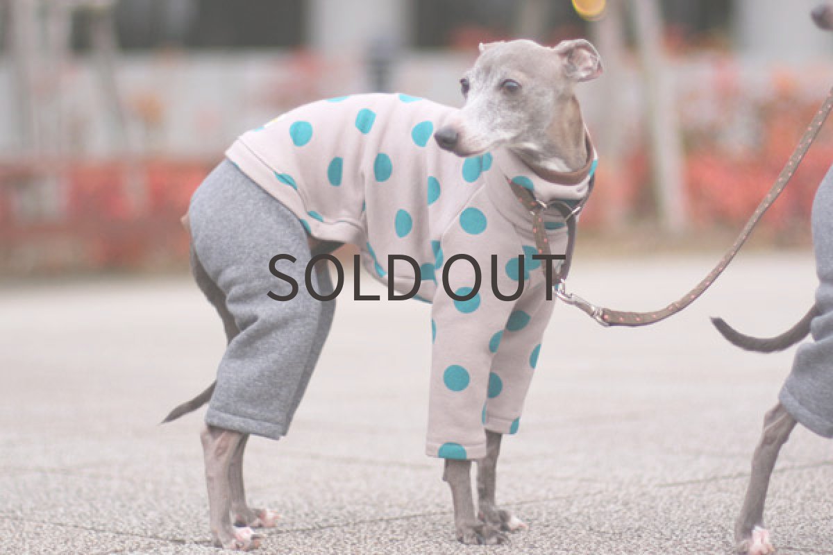 画像5: スプリングドット（トルコブルー） (5)