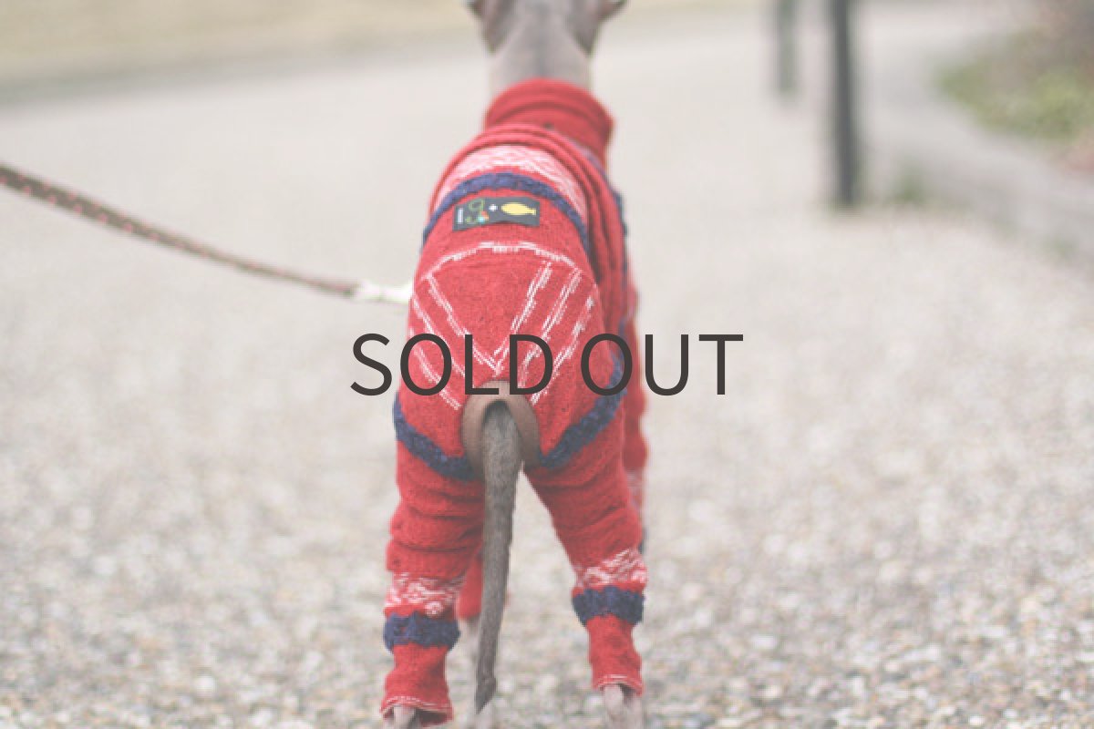 画像5: リップルニットのタイトロンパース(レッド) (5)