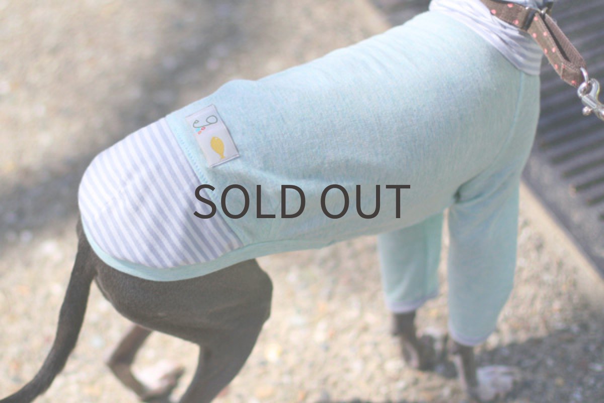 画像3: シャーベットペイント×ボーダー (3)