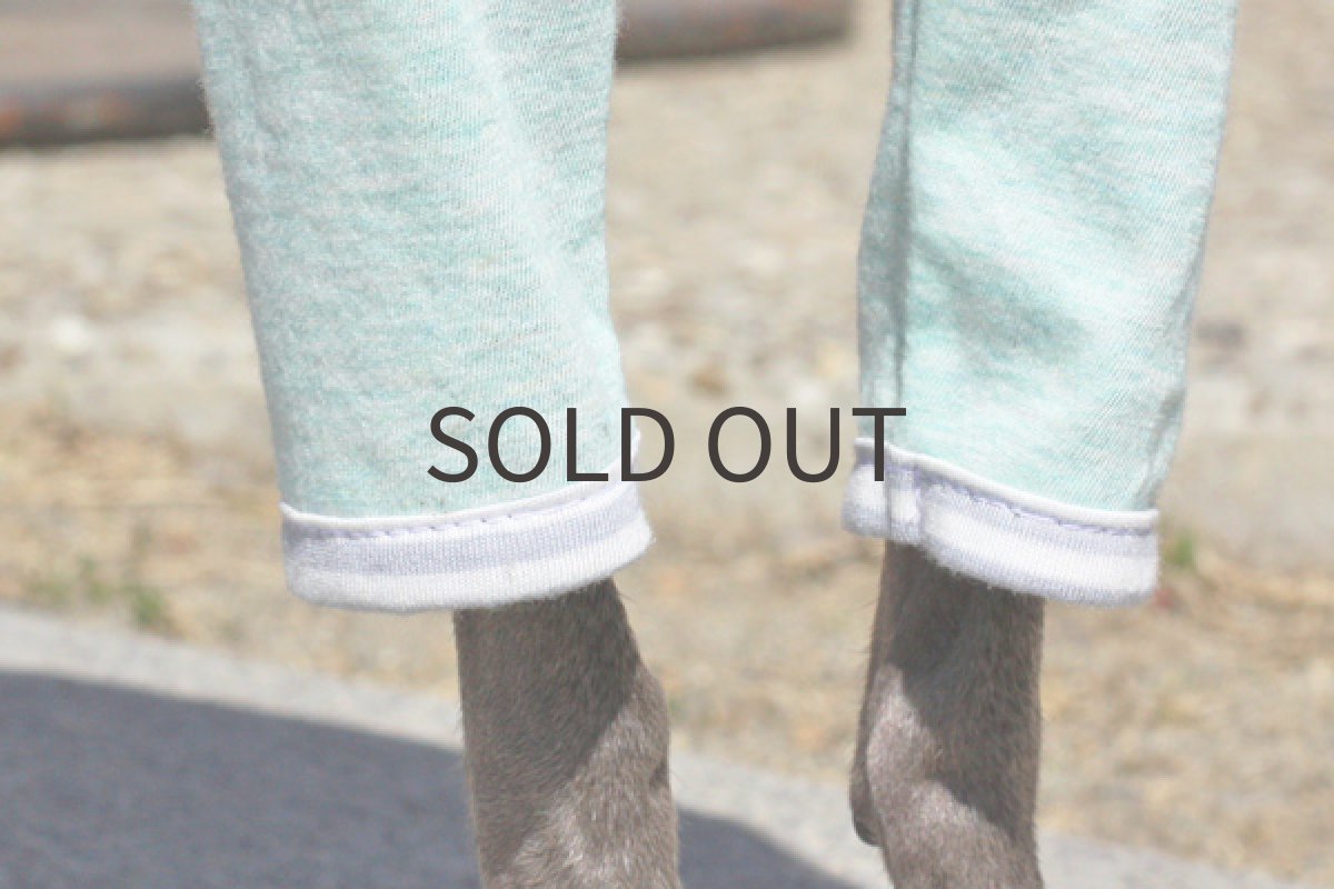 画像5: シャーベットペイント×ボーダー (5)