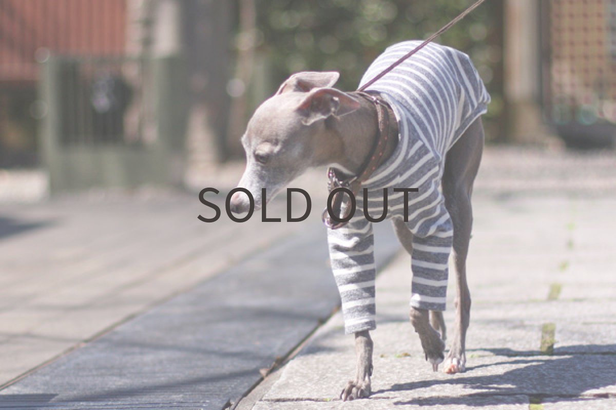 画像3: 杢調ボーダーのトレーナー（グレー） (3)