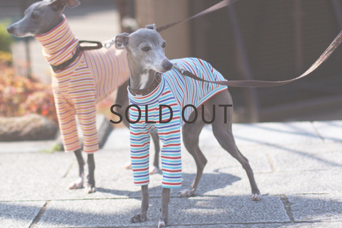 画像4: オーシャンボーダー (4)