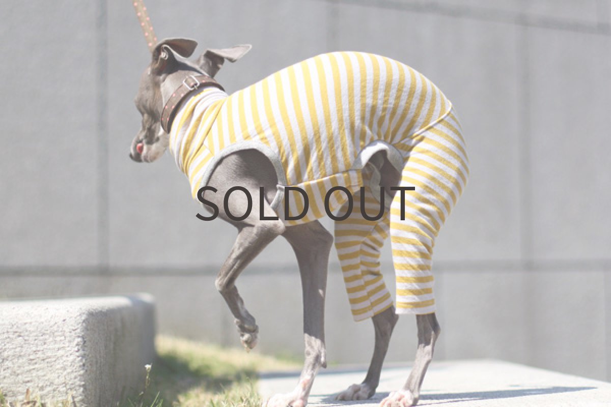 画像2: 接結ニットのタイトロンパース（からし×グレー） (2)