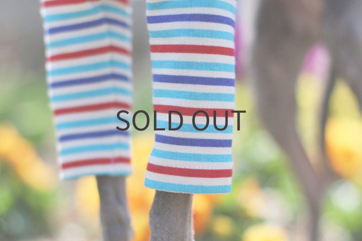 画像5: オーシャンボーダー (5)