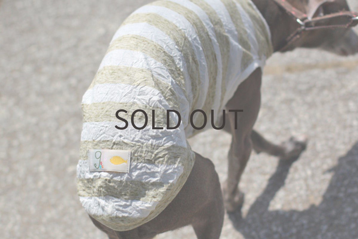 画像4: ワッシャーボーダー（グラスグリーン） (4)