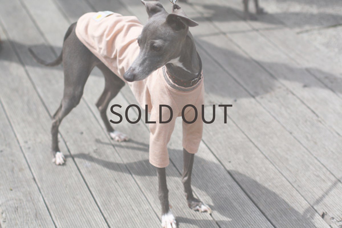 画像2: ピンクベージュ+アンティークメタリック (2)