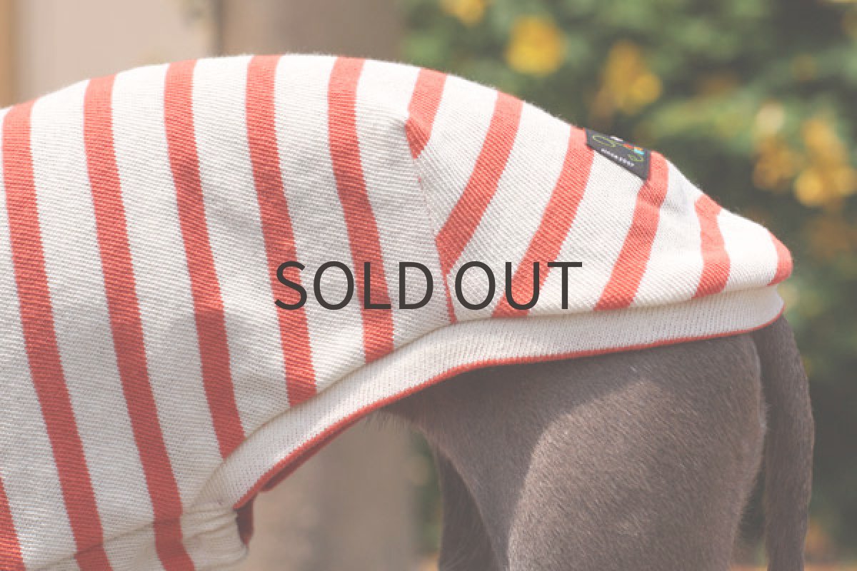 画像4: ざっくり天竺のオレンジボーダー (4)