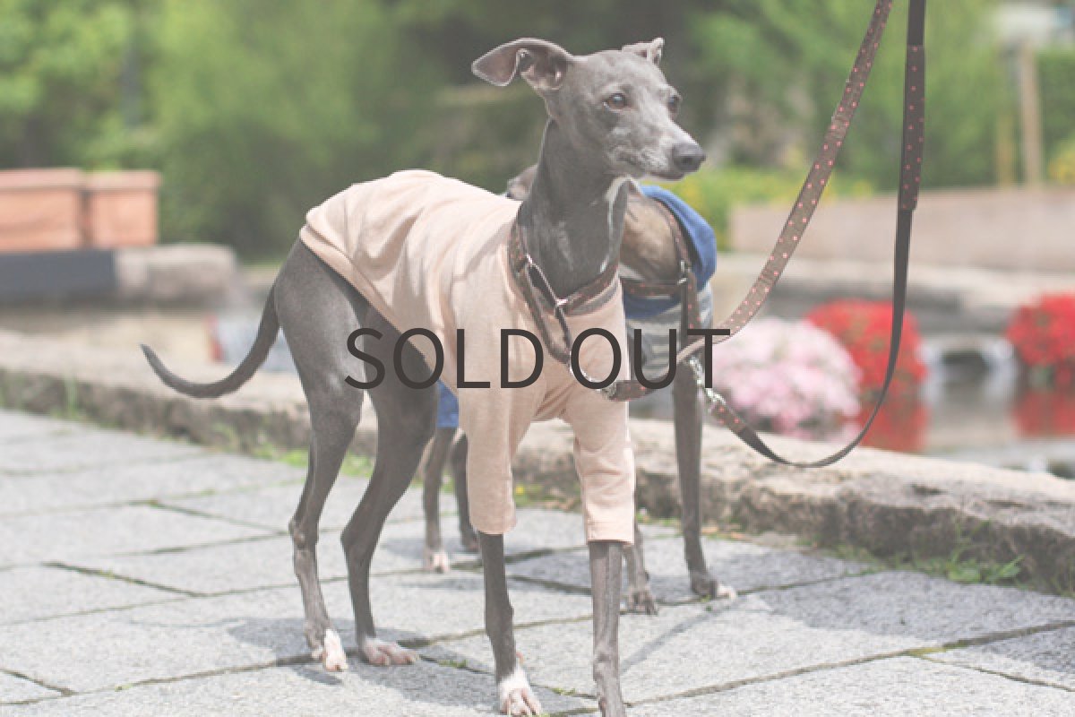 画像3: ピンクベージュ+アンティークメタリック (3)