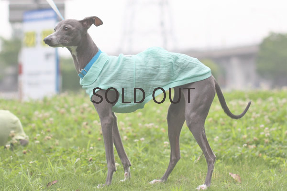 画像2: 手もみ麻のサマーシャツ(パステルグリーン) (2)