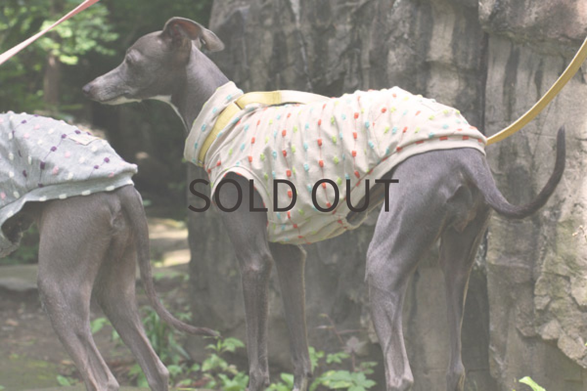 画像3: ブロックドットボーダー(ベージュ) (3)