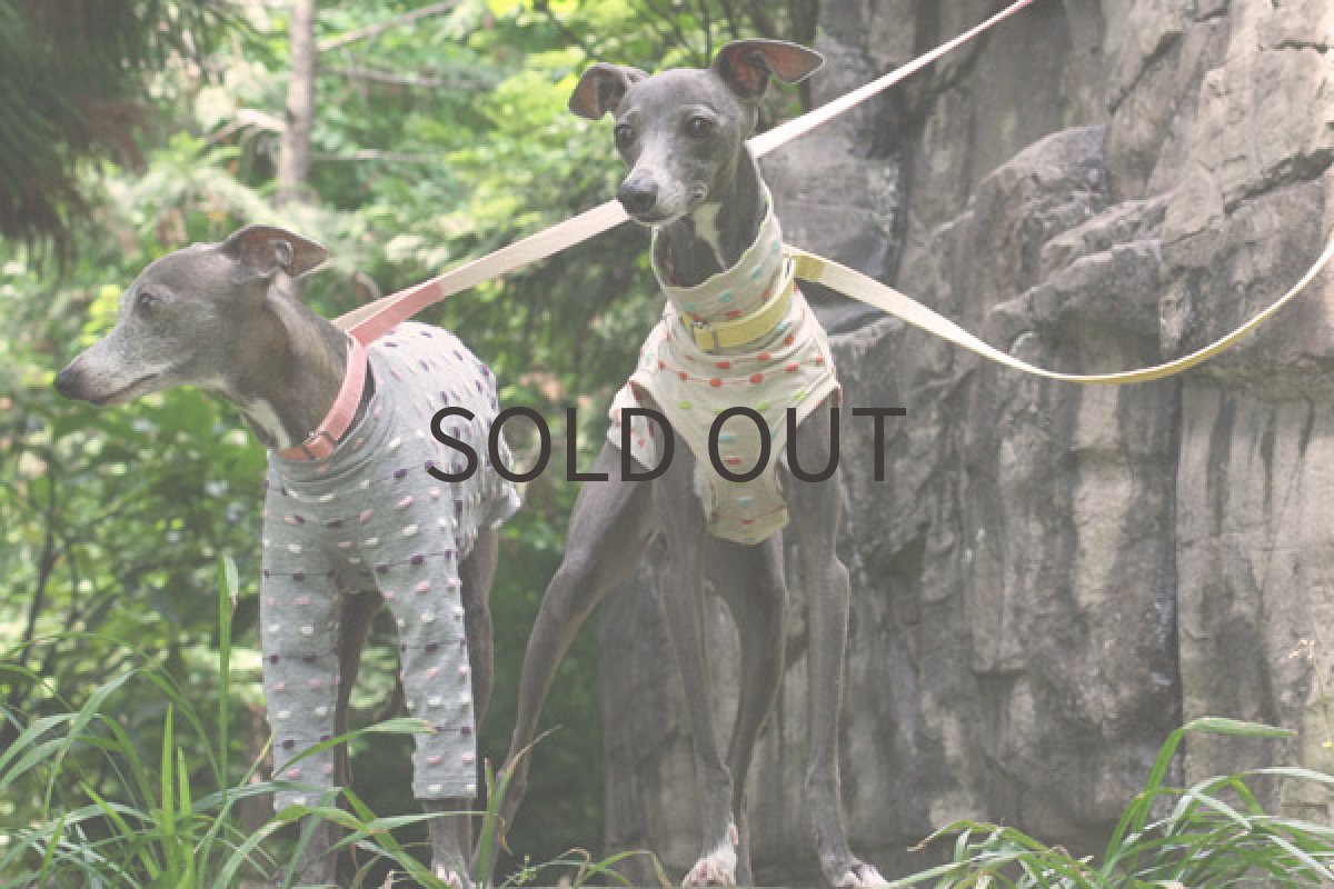 画像4: ブロックドットボーダー(ベージュ) (4)